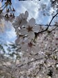 頑張り続けるあなたへ